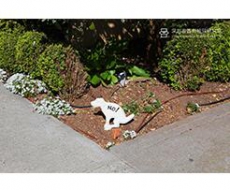 标识创意设计的基本概念