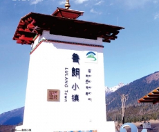 西利标识2020年4月刊 总第182期