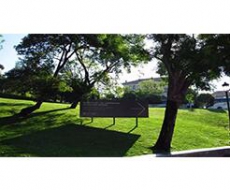 标识系统规划设计的侧重点丨院长观点