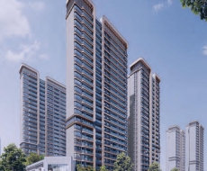 西利标识2025年12月刊 总第250期