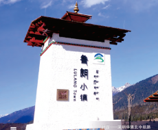 西利标识2026年8月刊 总第258期